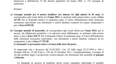 ASSEGNO PER IL NUCLEO FAMIGLIARE NUMEROSO E ASSEGNO DI MATERNITA' - ANNO 2022